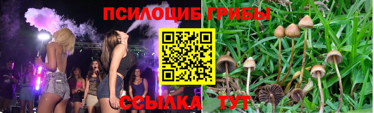 Воронеж  где продают   Псилоцибиновые грибы Psilocybine cubensis  Вход с VPN  Галлюциногенные грибы MAGIC MUSHROOMS 